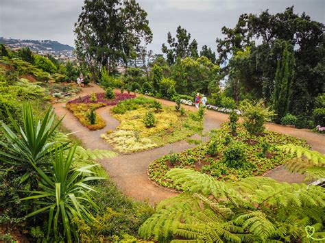 Inside Madeira Botanical Garden