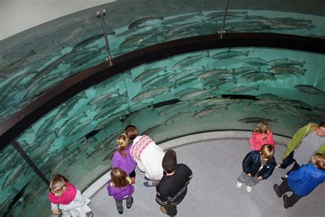 Inside Salmon Center