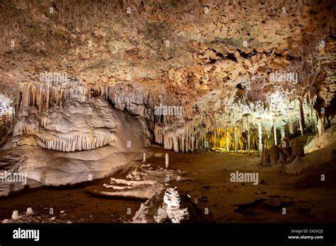 Inside caves of hams