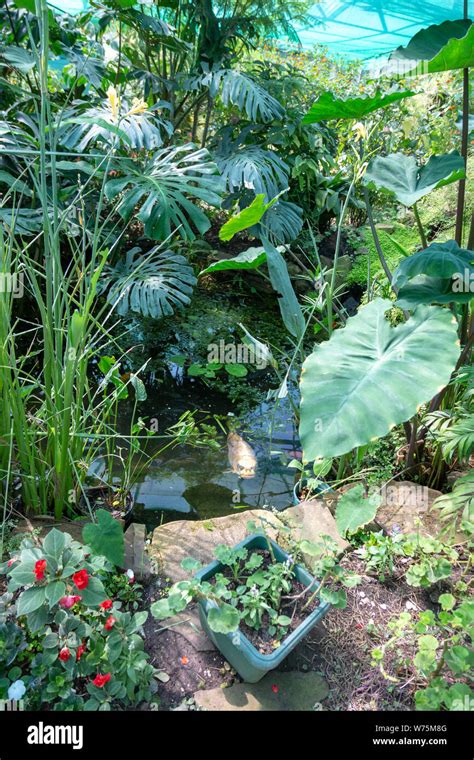 Inside the Butterfly Rainforest