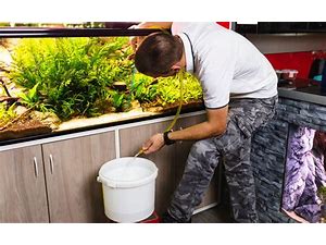Inspecting a used fish tank