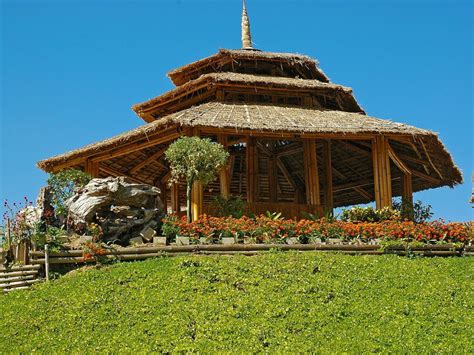 Inspirasi Desain Rumah Bambu Tradisional, Modern, dan Semi Permanen