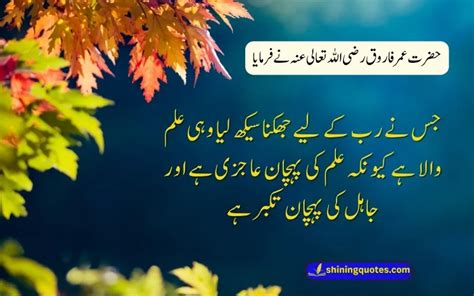 Inspirational Islamic Quotes In Urdu Text