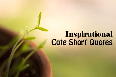Inspirational Quotes Short Cute