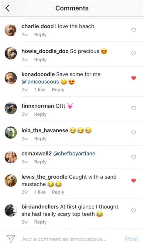 Instagram Comment Section Template