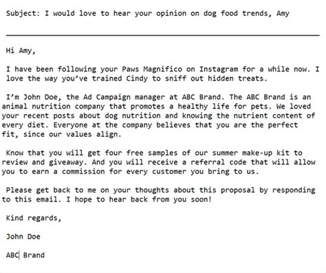 Instagram Influencer Email Template