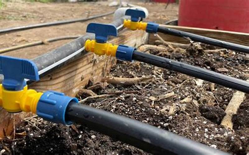 Install Drip Irrigation System