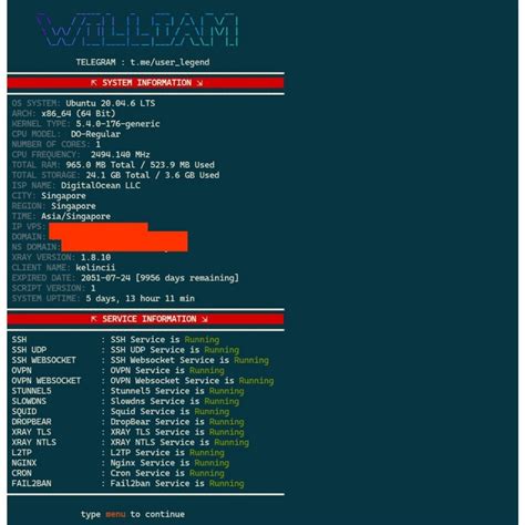 Install Script Premium Vps VPN Server lifetime Support Multi Custom Path