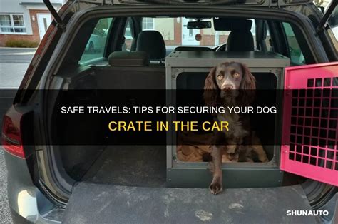 Installation Tips and Securing Your Crate