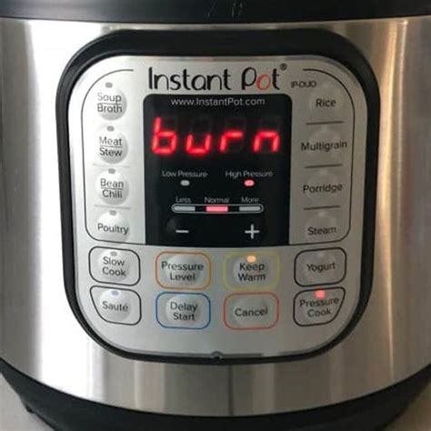 Instant Pot Burn Code