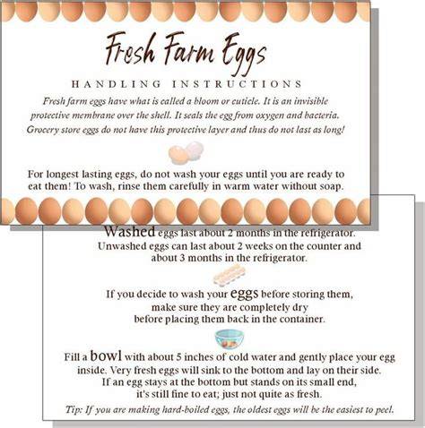 Instructions Reintroduce the Eggs