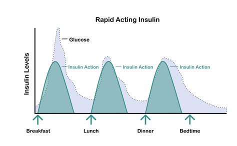 Insulin Levels