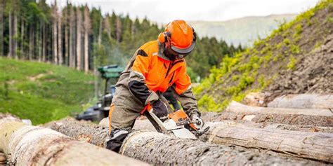 Logging Insurance Alberta Leibel Insurance Group