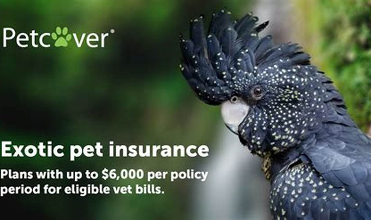 Insurance for exotic pets