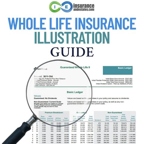 Insurance And Whole Life: Expert Guide And Tips