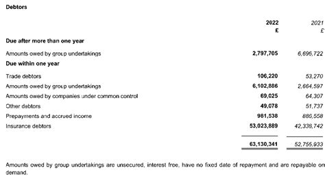Insurance For Debtors