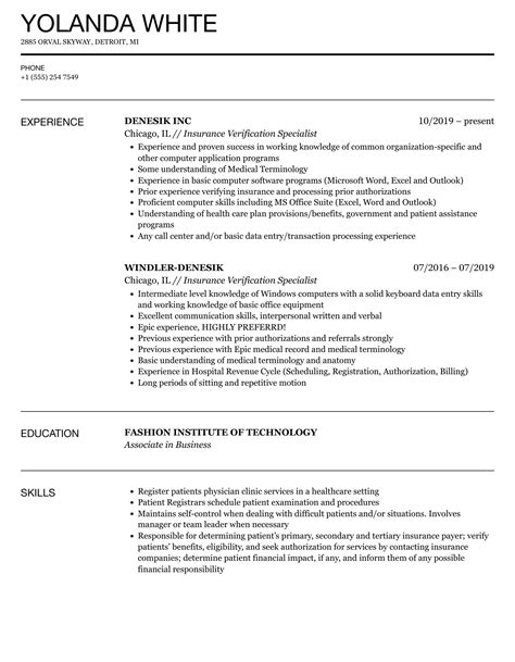 Insurance Verification Resume Summary Examples