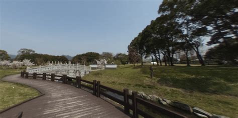 Intangible Connection: Soulmates Crossed Paths at Centennial Park