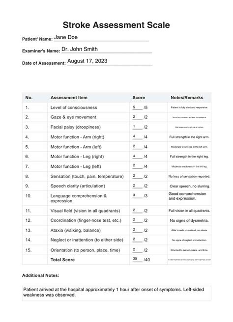 Integrating the NIH Stroke Scale into Comprehensive Stroke Care Protocols