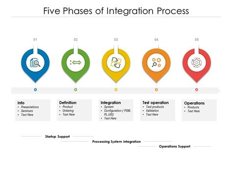 Integration Process