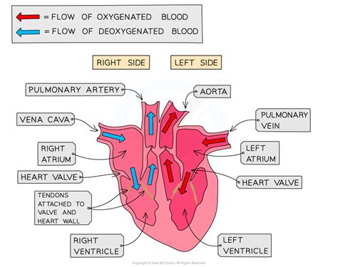 Integration of Systems