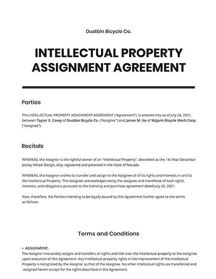 Intellectual Property Assignment
