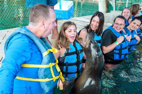Interact with Sea Lion