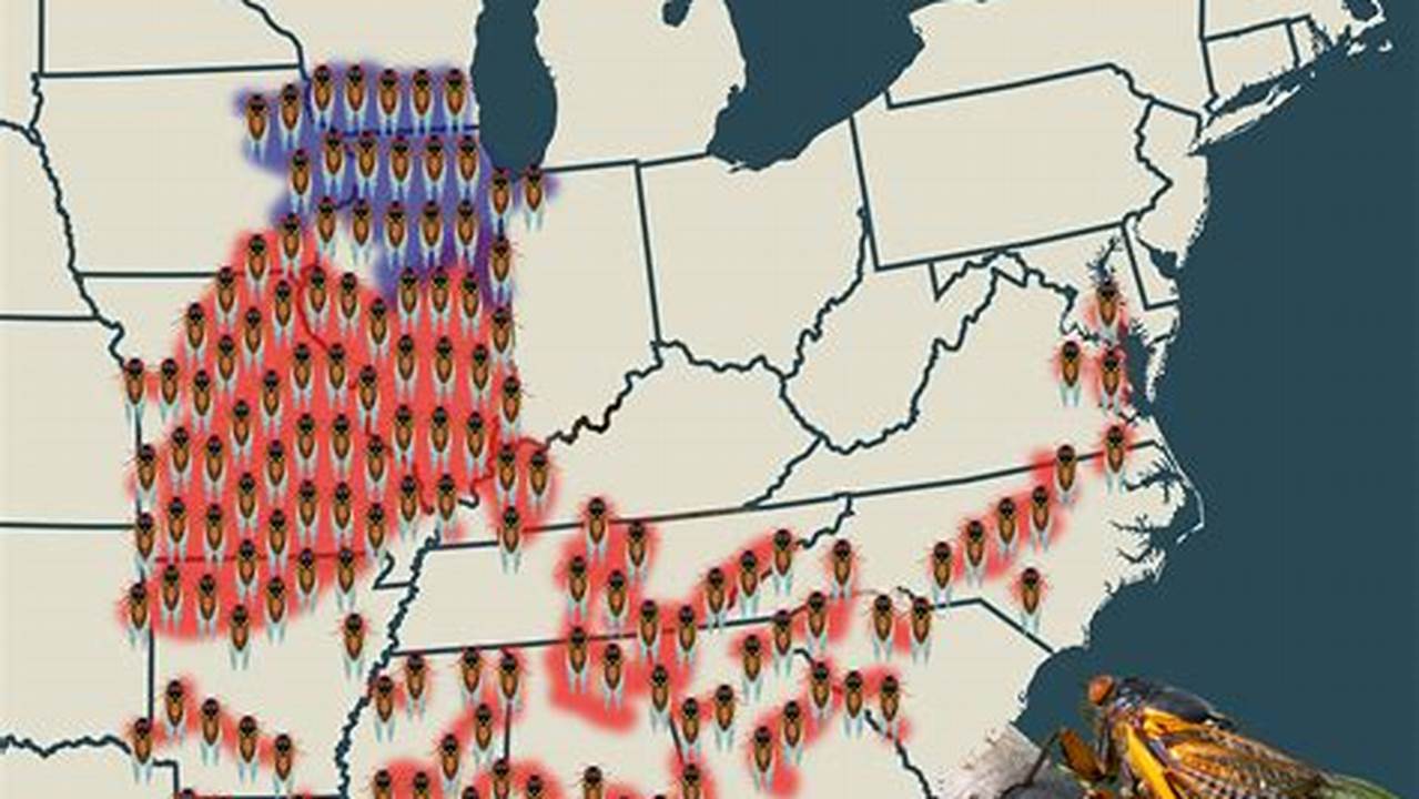 Interactive Cicada Map 2025