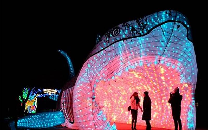 Interactive Delights At The Moonlight Forest Lantern Art Festival