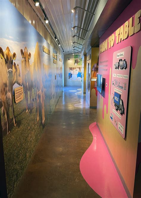 Interactive Exhibits Cheese Dairy