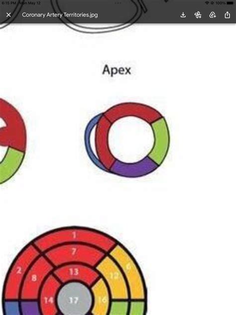 Interactive Learning Made Simple 10.1.3 Apex Quizlet