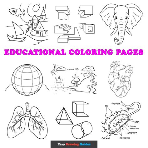 Interactive and Educational Coloring Sheets