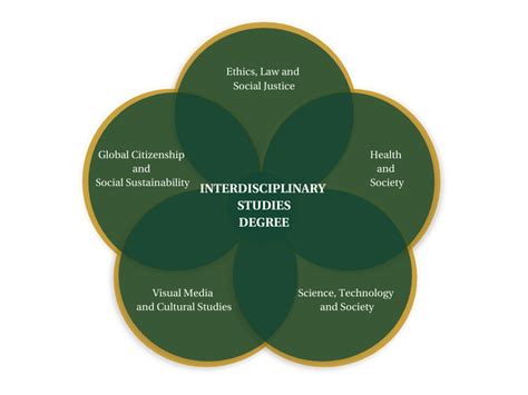 Interdisciplinary Studies Degree Concept