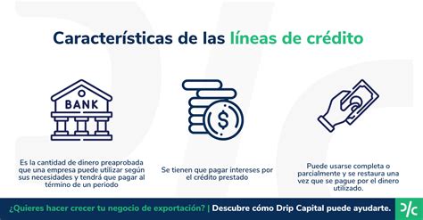 Intereses en Línea de Crédito: Todo lo que debes saber