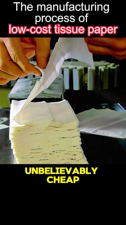 Interesting facts about tissue papers