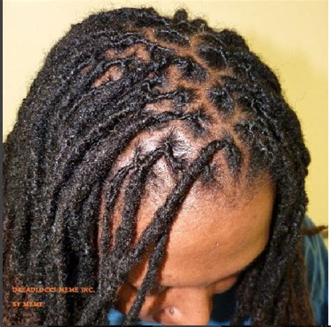 Interlocking Locs Neatness Meets Style