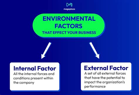 Internal Factors