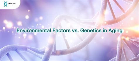 Internal Factors: Genetics and Aging