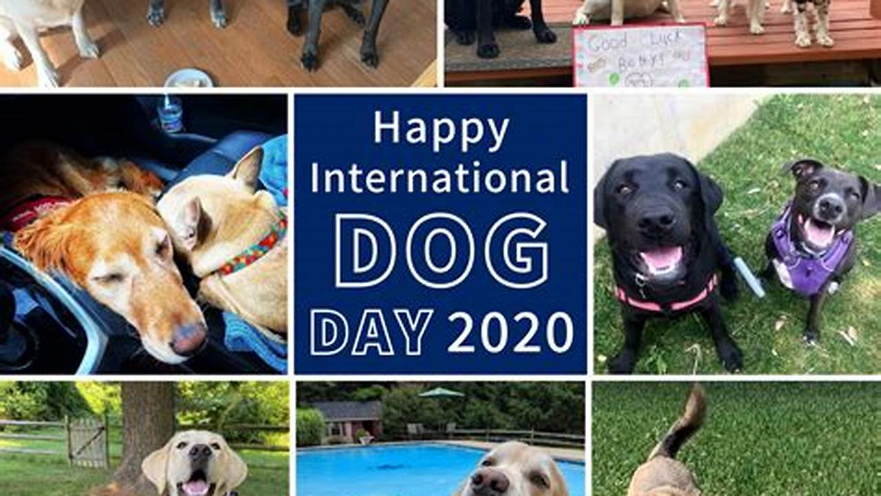 International Dog Day 2024 Australia