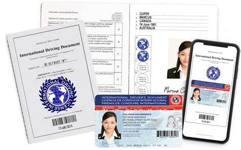 International Driving License