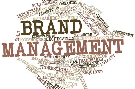 International Product and Brand Management