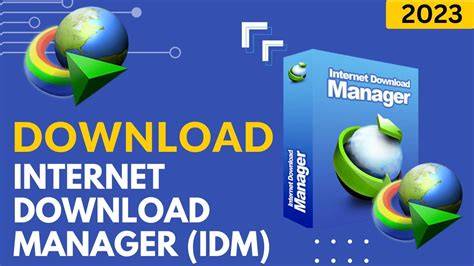 Internet Download Manager (IDM)