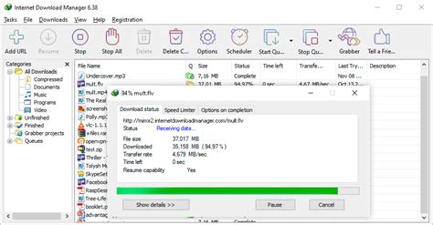 Boost Your Download Speed with Internet Download Manager - The Ultimate Downloading Solution