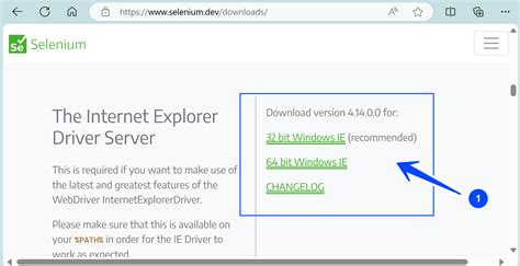 Internet Explorer Driver