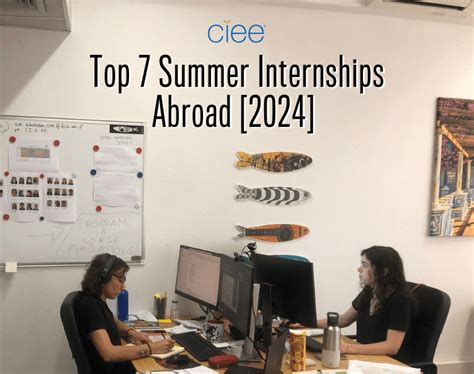 Internships In Summer 2024
