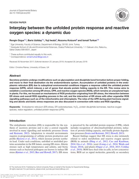 Interplay of Domain and Range: A Dynamic Duo