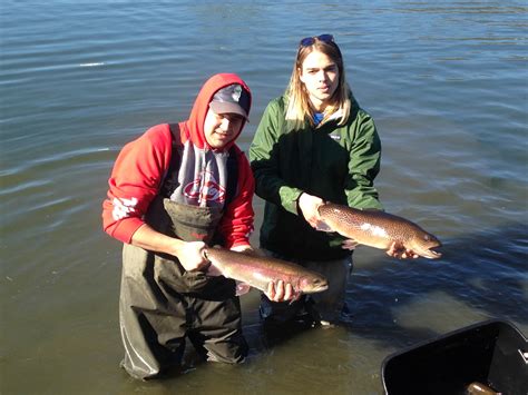 Interpreting NJ Fishing Reports Freshwater