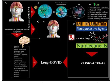 Interpreting Neurological Deficits: Group D Insights
