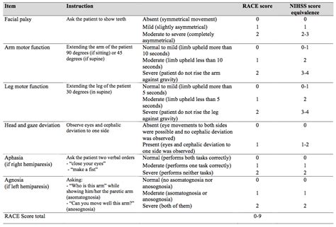 Interpreting Scores: Decoding the Language of Stroke Evaluation how to perform