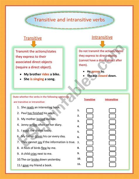 Intransitive and Transitive Verbs in English Worksheet